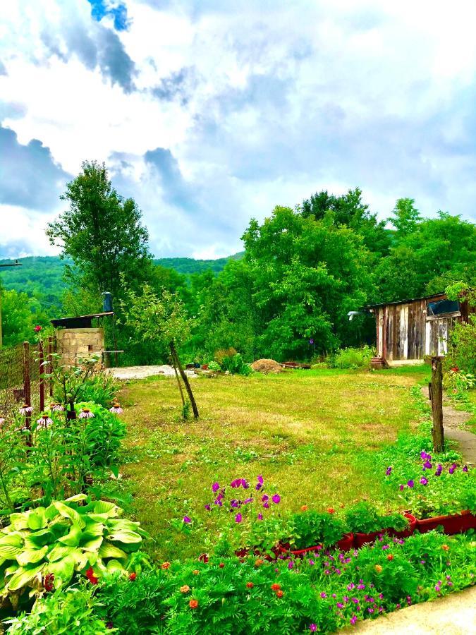 Guesthouse D&D Licko Petrovo Selo Exterior photo