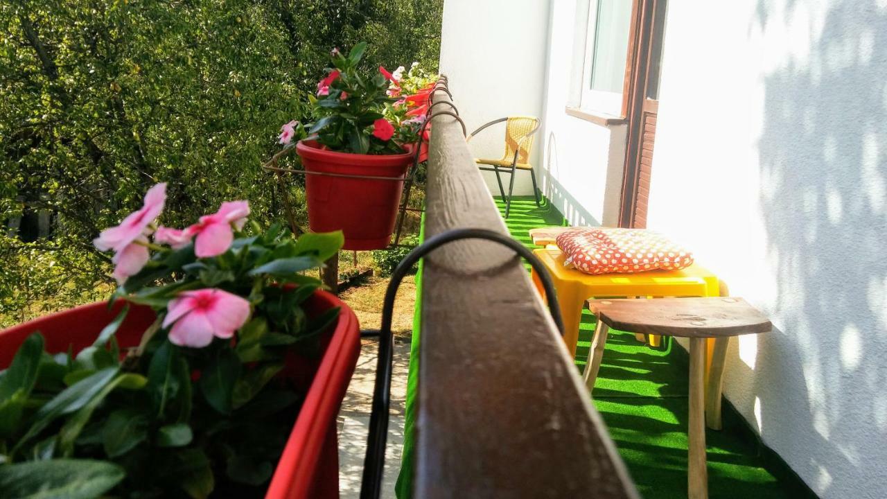 Guesthouse D&D Licko Petrovo Selo Exterior photo